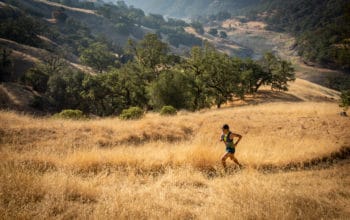 2022 Lake Sonoma 50 Mile Preview